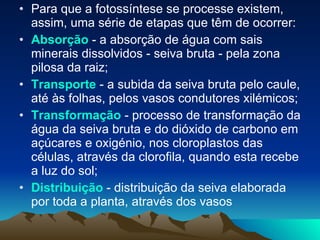 Para que a fotossíntese se processe existem, assim, uma série de etapas que têm de ocorrer: Absorção  - a absorção de água com sais minerais dissolvidos - seiva bruta - pela zona pilosa da raiz; Transporte  - a subida da seiva bruta pelo caule, até às folhas, pelos vasos condutores xilémicos; Transformação  - processo de transformação da água da seiva bruta e do dióxido de carbono em açúcares e oxigénio, nos cloroplastos das células, através da clorofila, quando esta recebe a luz do sol; Distribuição  - distribuição da seiva elaborada por toda a planta, através dos vasos 