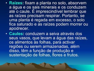 Raízes :  fixam a planta no solo, absorvem a água e os sais minerais e os conduzem até o caule. É imprescindível lembrar que as raízes precisam respirar. Portanto, se uma planta é regada em excesso, o solo fica saturado e as raízes podem morrer ou apodrecer. Caules :  conduzem a seiva através dos seus vasos, que levam a água das raízes, os alimentos às folhas, para activar regiões ou serem armazenadas, além disso, têm a função de produção e sustentação de folhas, flores e frutos. 