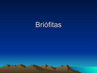 Briófitas 