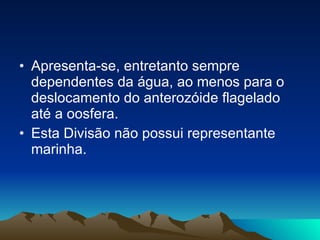 Apresenta-se, entretanto sempre dependentes da água, ao menos para o deslocamento do anterozóide flagelado até a oosfera.  Esta Divisão não possui representante marinha.  