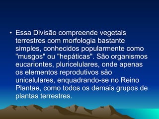 Essa Divisão compreende vegetais terrestres com morfologia bastante simples, conhecidos popularmente como "musgos" ou "hepáticas". São organismos eucariontes, pluricelulares, onde apenas os elementos reprodutivos são unicelulares, enquadrando-se no Reino Plantae, como todos os demais grupos de plantas terrestres.  