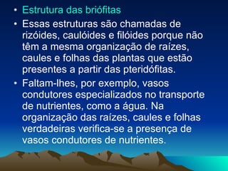 Estrutura das briófitas   Essas estruturas são chamadas de rizóides, caulóides e filóides porque não têm a mesma organização de raízes, caules e folhas das plantas que estão presentes a partir das pteridófitas. Faltam-lhes, por exemplo, vasos condutores especializados no transporte de nutrientes, como a água. Na organização das raízes, caules e folhas verdadeiras verifica-se a presença de vasos condutores de nutrientes. 