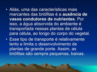 Aliás, uma das características mais marcantes das briófitas é a  ausência de vasos condutores de nutrientes . Por isso, a água absorvida do ambiente é transportada nessas plantas de célula para célula, ao longo do corpo do vegetal.  Esse tipo de transporte é relativamente lento e limita o desenvolvimento de plantas de grande porte. Assim, as briófitas são sempre pequenas, baixas.  