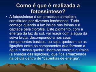 Como é que é realizada a fotossíntese? A fotossíntese é um processo complexo, constituído por diversos fenómenos. Tudo começa quando a luz incide nas folhas e é captada pela clorofila. Este pigmento, com a energia da luz do sol, vai reagir com a água da seiva bruta, decompondo-a nos seus componentes básicos, ou seja, quebram-se as ligações entre os componentes que formam a água e dessa quebra liberta-se energia química (a energia das ligações), que fica armazenada na célula dentro de "caixinhas de energia".  