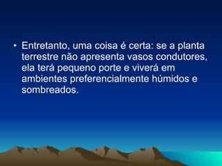 Entretanto, uma coisa é certa: se a planta terrestre não apresenta vasos condutores, ela terá pequeno porte e viverá em ambientes preferencialmente húmidos e sombreados.  
