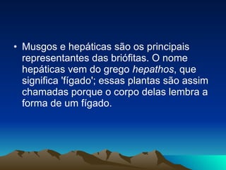 Musgos e hepáticas são os principais representantes das briófitas. O nome hepáticas vem do grego  hepathos , que significa 'fígado'; essas plantas são assim chamadas porque o corpo delas lembra a forma de um fígado.  