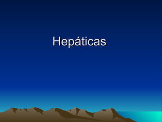 Hepáticas  