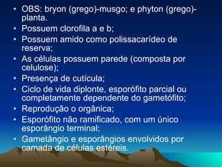 OBS: bryon (grego)-musgo; e phyton (grego)-planta. Possuem clorofila a e b;  Possuem amido como polissacarídeo de reserva;  As células possuem parede (composta por celulose);  Presença de cutícula;  Ciclo de vida diplonte, esporófito parcial ou completamente dependente do gametófito;  Reprodução o orgânica;  Esporófito não ramificado, com um único esporângio terminal;  Gametângio e esporângios envolvidos por camada de células estéreis. 