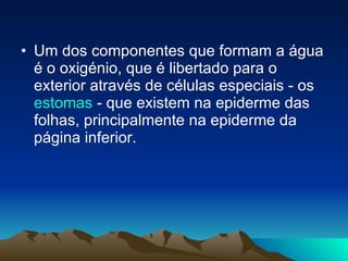 Um dos componentes que formam a água é o oxigénio, que é libertado para o exterior através de células especiais - os  estomas  - que existem na epiderme das folhas, principalmente na epiderme da página inferior.  