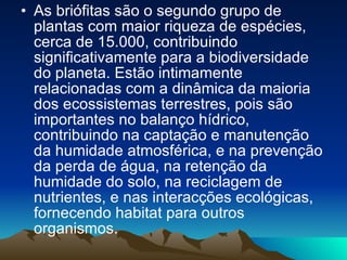 As briófitas são o segundo grupo de plantas com maior riqueza de espécies, cerca de 15.000, contribuindo significativamente para a biodiversidade do planeta. Estão intimamente relacionadas com a dinâmica da maioria dos ecossistemas terrestres, pois são importantes no balanço hídrico, contribuindo na captação e manutenção da humidade atmosférica, e na prevenção da perda de água, na retenção da humidade do solo, na reciclagem de nutrientes, e nas interacções ecológicas, fornecendo habitat para outros organismos.  