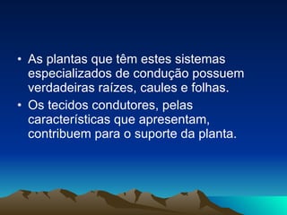 As plantas que têm estes sistemas especializados de condução possuem verdadeiras raízes, caules e folhas. Os tecidos condutores, pelas características que apresentam, contribuem para o suporte da planta. 