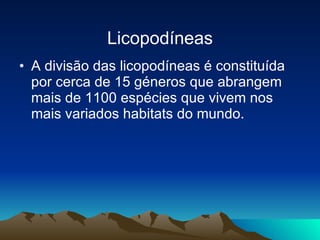 Licopodíneas A divisão das licopodíneas é constituída por cerca de 15 géneros que abrangem mais de 1100 espécies que vivem nos mais variados habitats do mundo. 