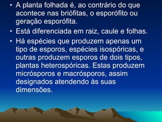 A planta folhada é, ao contrário do que acontece nas briófitas, o esporófito ou geração esporófita.  Está diferenciada em raiz, caule e folhas. Há espécies que produzem apenas um tipo de esporos, espécies isospóricas, e outras produzem esporos de dois tipos, plantas heterospóricas. Estas produzem micrósporos e macrósporos, assim designados atendendo às suas dimensões.  