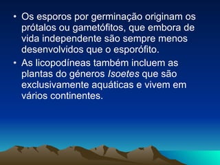 Os esporos por germinação originam os prótalos ou gametófitos, que embora de vida independente são sempre menos desenvolvidos que o esporófito. As licopodíneas também incluem as plantas do géneros  Isoetes  que são exclusivamente aquáticas e vivem em vários continentes. 