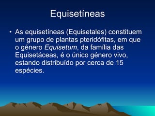 Equisetíneas As equisetíneas (Equisetales) constituem um grupo de plantas pteridófitas, em que o género  Equisetum , da família das Equisetáceas, é o único género vivo, estando distribuído por cerca de 15 espécies. 