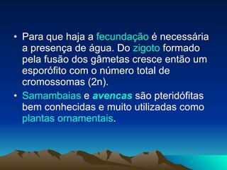 Para que haja a  fecundação  é necessária a presença de água. Do  zigoto  formado pela fusão dos gâmetas cresce então um esporófito com o número total de cromossomas (2n). Samambaias  e  avencas  são pteridófitas bem conhecidas e muito utilizadas como  plantas ornamentais .  