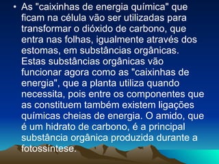As "caixinhas de energia química" que ficam na célula vão ser utilizadas para transformar o dióxido de carbono, que entra nas folhas, igualmente através dos estomas, em substâncias orgânicas. Estas substâncias orgânicas vão funcionar agora como as "caixinhas de energia", que a planta utiliza quando necessita, pois entre os componentes que as constituem também existem ligações químicas cheias de energia. O amido, que é um hidrato de carbono, é a principal substância orgânica produzida durante a fotossíntese. 