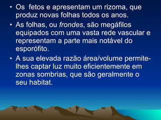 Os  fetos e apresentam um rizoma, que produz novas folhas todos os anos.  As folhas, ou  frondes , são megáfilos equipados com uma vasta rede vascular e representam a parte mais notável do esporófito.  A sua elevada razão área/volume permite-lhes captar luz muito eficientemente em zonas sombrias, que são geralmente o seu habitat.   