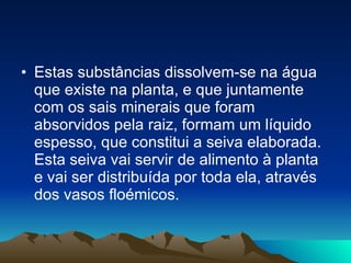 Estas substâncias dissolvem-se na água que existe na planta, e que juntamente com os sais minerais que foram absorvidos pela raiz, formam um líquido espesso, que constitui a seiva elaborada. Esta seiva vai servir de alimento à planta e vai ser distribuída por toda ela, através dos vasos floémicos.  