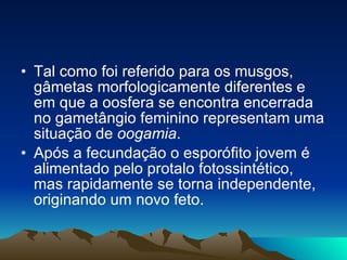 Tal como foi referido para os musgos, gâmetas morfologicamente diferentes e em que a oosfera se encontra encerrada no gametângio feminino representam uma situação de  oogamia .  Após a fecundação o esporófito jovem é alimentado pelo protalo fotossintético, mas rapidamente se torna independente, originando um novo feto. 
