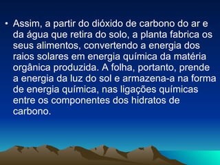 Assim, a partir do dióxido de carbono do ar e da água que retira do solo, a planta fabrica os seus alimentos, convertendo a energia dos raios solares em energia química da matéria orgânica produzida. A folha, portanto, prende a energia da luz do sol e armazena-a na forma de energia química, nas ligações químicas entre os componentes dos hidratos de carbono.  