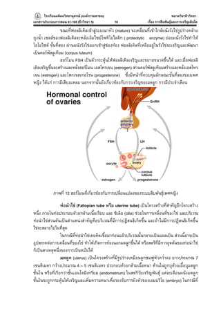 โรงเรียนมหิดลวิทยานุสรณ (องคการมหาชน)
                                     ารมหาชน)                                           หมวดวิชาชีววิทยา
                                                                                                      ยา
เอกสารประกอบการสอน ชว 105 (ชีววิทยา 5)           10                  เรื่อง การสืบพันธุและการเจริญเติบโต

                 ขณะที่ฟอลลิเคิลเขาสูระยะมาทัว (mature) จะเคลื่อนที่เขาใกลผนังรังไขรูปรางคลาย
ถุงน้ํา เซลลของฟอลลิเคิลจะหลังเอ็มไซมโพทิโอไลติก ( proteolytic enzyme) ยอยผนังรังไขทําให
โอโอไซต ขั้นที่สอง ผานผนังรังไขออกเขาสูชองทอง ฟอลลิเคิลที่เหลืออยูในรังไขจะเจริญและพัฒนา
เปนคอรพัสลูเทียม (corpus luteum)
                 ฮอรโมน FSH เปนตัวกระตุนใหฟอลลิเคิลเจริญและขยายขนาดขึ้นได และเมื่อฟอลลิ
เคิลเจริญขึ้นจะสรางและหลั่งฮอรโมน เอสโทรเจน (estrogen) สวนคอรพัสลูเทียมสรางและหลั่งเอสโทร
เจน (estrogen) และโพรเจสเทอโรน (progesterone) ซึ่งมีหนาที่ควบคุมลักษณะขั้นที่สองของเพศ
หญิง ไดแก การมีเสียงแหลม นอกจากนั้นยังเกี่ยวของกับการเจริญของมดลูก การมีประจําเดือน




            ภาพที่ 12 ฮอรโมนที่เกี่ยวของกับการเปลียนแปลงของระบบสืบพันธุเพศหญิง
                                                    ่                    

                  ทอนําไข (Fallopian tube หรือ uterine tube) เปนโครงสรางที่สําคัญอีกโครงสราง
หนึ่ง ภายในทอประกอบดวยกลามเนื้อเรียบ และ ซิเลีย (cilia) ชวยในการเคลื่อนที่ของไข และบริเวณ
ทอนําไขสวนตนเปนตําแหนงสําคัญคือบริเวณที่มีการปฏิสนธิเกิดขึ้น และถาไมมีการปฏิสนธิเกิดขึ้น
ไขจะสลายไปในที่สุด
                  ในกรณีที่ทอนําไขเคยติดเชื้อมากอนแลวบริเวณนั้นกลายเปนแผลเปน สวนนี้อาจเปน
อุปสรรคตอการเคลื่อนที่ของไข ทําใหเกิดการทองนอกมดลูกขึ้นได หรือสตรีที่มีการอุดตันของทอนําไข
ก็เปนสาเหตุหนึ่งของการเปนหมันได
                  มดลูก (uterus) เปนโครงสรางที่มีรูปรางเหมือนลูกชมพูหัวคว่ําลง ยาวประมาณ 7
เซนติเมตร กวางประมาณ 4 – 5 เซนติเมตร ประกอบดวยกลามเนื้อหนา ดานในถูกบุดวยเยื้อบุมดลูก
ชั้นใน หรือที่เรียกวาชั้นเอนโดมีเทรียม (endometrium) ในสตรีวัยเจริญพันธุ แตละเดือนผนังมดลูก
ชั้นในจะถูกกระตุนใหเจริญและเพิ่มความหนาเพื่อรองรับการฝงตัวของเอมบริโอ (embryo) ในกรณีที่
 