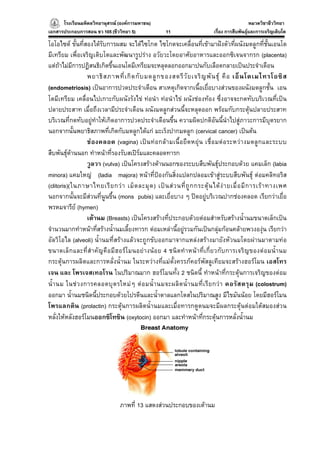 โรงเรียนมหิดลวิทยานุสรณ (องคการมหาชน)
                                     ารมหาชน)                                                       หมวดวิชาชีววิทยา
                                                                                                                  ยา
เอกสารประกอบการสอน ชว 105 (ชีววิทยา 5)                   11                      เรื่อง การสืบพันธุและการเจริญเติบโต

โอโอไซต ขั้นที่สองไดรับการผสม จะไดไซโกต ไซโกตจะเคลื่อนที่เขามาฝงตัวที่ผนังมดลูกที่ชั้นเอนโด
มีเทรียม เพื่อเจริญเติบโตและพัฒนารูปราง อวัยวะโดยอาศัยอาหารและออกซิเจนจากรก (placenta)
แตถาไมมีการปฏิสนธิเกิดขึ้นเอนโดมีเทรียมจะหลุดลอกออกมาปนกับเลือดกลายเปนประจําเดือน
                  พยาธิ ส ภาพที่ เ กิ ด กั บ มดลู ก ของสตรี วั ย เจริ ญ พั น ธุ คื อ เอ็ น โดเมไทรโอซิ ส
(endometriosis) เปนอาการปวดประจําเดือน สาเหตุเกิดจากเนื้อเยื่อบางสวนของผนังมดลูกชั้น เอน
โดมีเทรียม เคลื่อนไปเกาะกับผนังรังไข ทอนํา ทอนําไข ผนังชองทอง ซึ่งอาจจะกดทับบริเวณที่เปน
ปลายประสาท เมื่อถึงเวลามีประจําเดือน ผนังมดลูกสวนนี้จะหลุดออก พรอมกับกระตุนปลายประสาท
บริเวณที่กดทับอยูทําใหเกิดอาการปวดประจําเดือนขึ้น ความผิดปกติอันนี้นําไปสูภาวะการมีบุตรยาก
นอกจากนั้นพยาธิสภาพที่เกิดกับมดลูกไดแก มะเร็งปากมดลูก (cervical cancer) เปนตน
                  ช อ งคลอด (vagina) เป น ทอ กล า มเนื้ อ ยื ด หยุ น เชื่ อ มต อ ระหวา งมดลู ก และระบบ
สืบพันธุดานนอก ทําหนาที่รองรับสเปรมและคลอดทารก
                  วูลวา (vulva) เปนโครงสรางดานนอกของระบบสืบพันธุประกอบดวย แคมเล็ก (labia
minora) แคมใหญ (ladia majora) หนาที่ปองกันสิ่งแปลกปลอมเขาสูระบบสืบพันธุ ตอมคลิทอริส
(clitoris)(ในภาษาไทยเรี ย กว า เม็ ด ละมุ ด ) เป น ส ว นที่ ถู ก กระตุ น ได ง า ยเมื่ อ มี ก ารเร า ทางเพศ
นอกจากนั้นจะมีสวนที่นูนขึ้น (mons pubis) และเยื่อบาง ๆ ปดอยูบริเวณปากชองคลอด เรียกวาเยื่อ
พรหมจารีย (hymen)
                  เตานม (Breasts) เปนโครงสรางที่ประกอบดวยตอมสําหรับสรางน้ํานมขนาดเล็กเปน
จํานวนมากทําหนาที่สรางน้ํานมเลี้ยงทารก ตอมเหลานี้อยูรวมกันเปนกลุมกอนคลายพวงองุน เรียกวา
อัลวิโอไล (alveoli) น้ํานมที่สรางแลวจะถูกขับออกมาจากแหลงสรางมายังหัวนมโดยผานมาตามทอ
ขนาดเล็ ก และที่ สํ า คั ญคื อมี ฮ อร โ มนอย า งนอ ย 4 ชนิ ดทํ า หน าที่ เ กี่ ย วกั บ การเจริ ญ ของต อ มน้ํา นม
กระตุนการผลิตและการหลั่งน้ํานม ในระหวางที่แมตั้งครรภคอรพัสลูเทียมจะสรางฮอรโมน เอสโทร
เจน และ โพรเจสเทอโรน ในปริมาณมาก ฮอรโมนทั้ง 2 ชนิดนี้ ทําหนาที่กระตุนการเจริญของตอม
น้ํ า นม ในช ว งการคลอดบุ ต รใหม ๆ ต อ มน้ํ า นมจะผลิ ต น้ํ า นมที่ เ รี ย กว า คอรั ส ตรุ ม (colostrum)
ออกมา น้ํานมชนิดนี้ประกอบดวยโปรตีนและน้ําตาลแลกโตสในปริมาณสูง มีไขมันนอย โดยมีฮอรโมน
โพรแลกติน (prolactin) กระตุนการผลิตน้ํานมและเมื่อทารกดูดนมจะมีผลกระตุนตอมใตสมองสวน
หลั่งใหหลังฮอรโมนออกซิโทซิน (oxytocin) ออกมา และทําหนาที่กระตุนการหลั่งน้ํานม




                                   ภาพที่ 13 แสดงสวนประกอบของเตานม
 