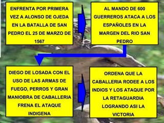ENFRENTA POR PRIMERAENFRENTA POR PRIMERA
VEZ A ALONSO DE OJEDAVEZ A ALONSO DE OJEDA
EN LA BATALLA DE SANEN LA BATALLA DE SAN
PEDRO EL 25 DE MARZO DEPEDRO EL 25 DE MARZO DE
15671567
AL MANDO DE 600AL MANDO DE 600
GUERREROS ATACA A LOSGUERREROS ATACA A LOS
ESPAÑOLES EN LAESPAÑOLES EN LA
MARGEN DEL RIO SANMARGEN DEL RIO SAN
PEDROPEDRO
DIEGO DE LOSADA CON ELDIEGO DE LOSADA CON EL
USO DE LAS ARMAS DEUSO DE LAS ARMAS DE
FUEGO, PERROS Y GRANFUEGO, PERROS Y GRAN
MANIOBRA DE CABALLERIAMANIOBRA DE CABALLERIA
FRENA EL ATAQUEFRENA EL ATAQUE
INDIGENAINDIGENA
ORDENA QUE LAORDENA QUE LA
CABALLERIA RODEE A LOSCABALLERIA RODEE A LOS
INDIOS Y LOS ATAQUE PORINDIOS Y LOS ATAQUE POR
LA RETAGUARDIALA RETAGUARDIA
LOGRANDO ASI LALOGRANDO ASI LA
VICTORIAVICTORIA
 
