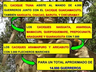 PARA UN TOTAL APROXIMADO DEPARA UN TOTAL APROXIMADO DE
14.000 GUERREROS14.000 GUERREROS
ELEL CACIQUE TIUNACACIQUE TIUNA ASISTE AL MANDO DE 4.000ASISTE AL MANDO DE 4.000
GUERREROS JUNTO CON ELGUERREROS JUNTO CON EL CACIQUE GUAICAMACUTO,CACIQUE GUAICAMACUTO,
TAMBIENTAMBIEN NAIGUATA, CHACAO, BARUTA, Y CHICURAMAY.NAIGUATA, CHACAO, BARUTA, Y CHICURAMAY.
LOSLOS CACIQUES NAIGUATA, ANARIGUA,CACIQUES NAIGUATA, ANARIGUA,
MAMACURI, QUEIPOQUEMARE, PREPOCUNATE,MAMACURI, QUEIPOQUEMARE, PREPOCUNATE,
ARAGUAIRE Y GUARAUGUTAARAGUAIRE Y GUARAUGUTA CON 7.000CON 7.000
LOSLOS CACIQUES ARAMAIPURO Y ARICABUTOCACIQUES ARAMAIPURO Y ARICABUTO
CON 3.000 FLECHEROS MARICHESCON 3.000 FLECHEROS MARICHES
 