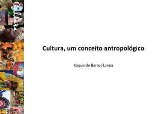Cultura, um conceito antropológico
Roque de Barros Laraia
 