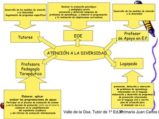 Valle de la Osa. Tutor de 1º Ed. Primaria Juan Carlos B38
ATENCIÓN A LA DIVERSIDAD
Tutores
Profesora
Pedagogía
Terapéutica
Profesor
de Apoyo en E.P.
Logopeda
EOE
Desarrollo de las medidas de atención
a la diversidad.
Seguimiento de programas específicos
Realizar la evaluación psicológica
y pedagógica previa
prevención y detección temprana de
problemas de aprendizaje, y elaborar la programación
y la realización de adaptaciones curriculares
Desarrollo de las medidas de atención
a la diversidad
Elaborar, aplicar
evaluar las programaciones de apoyo
Participar en el proceso de evaluación de acneae
y en la decisión de promoción, junto con el tutor/a
colaborar en la cumplimentación
del expediente académico
y del informe de evaluación individualizado
prevención, detección y valoración
de problemas de aprendizaje
relacionados con el lenguaje
elaboración y desarrollo de programas
de prevención relacionados
con el lenguaje oral y escrito
plan de actuación para
el alumnado con n.e.e
 