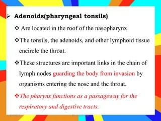 Review of anatomy and physiology of respiratory system | PPTX