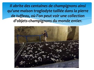 Il abrite des centaines de champignons ainsi
qu'une maison troglodyte taillée dans la pierre
  de tuffeau, où l'on peut voir une collection
    d'objets-champignons du monde entier.
 