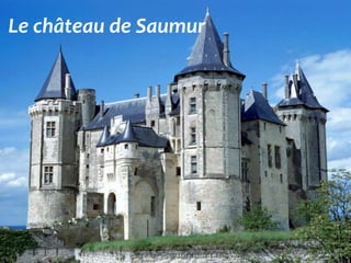 Le château de Saumur
 