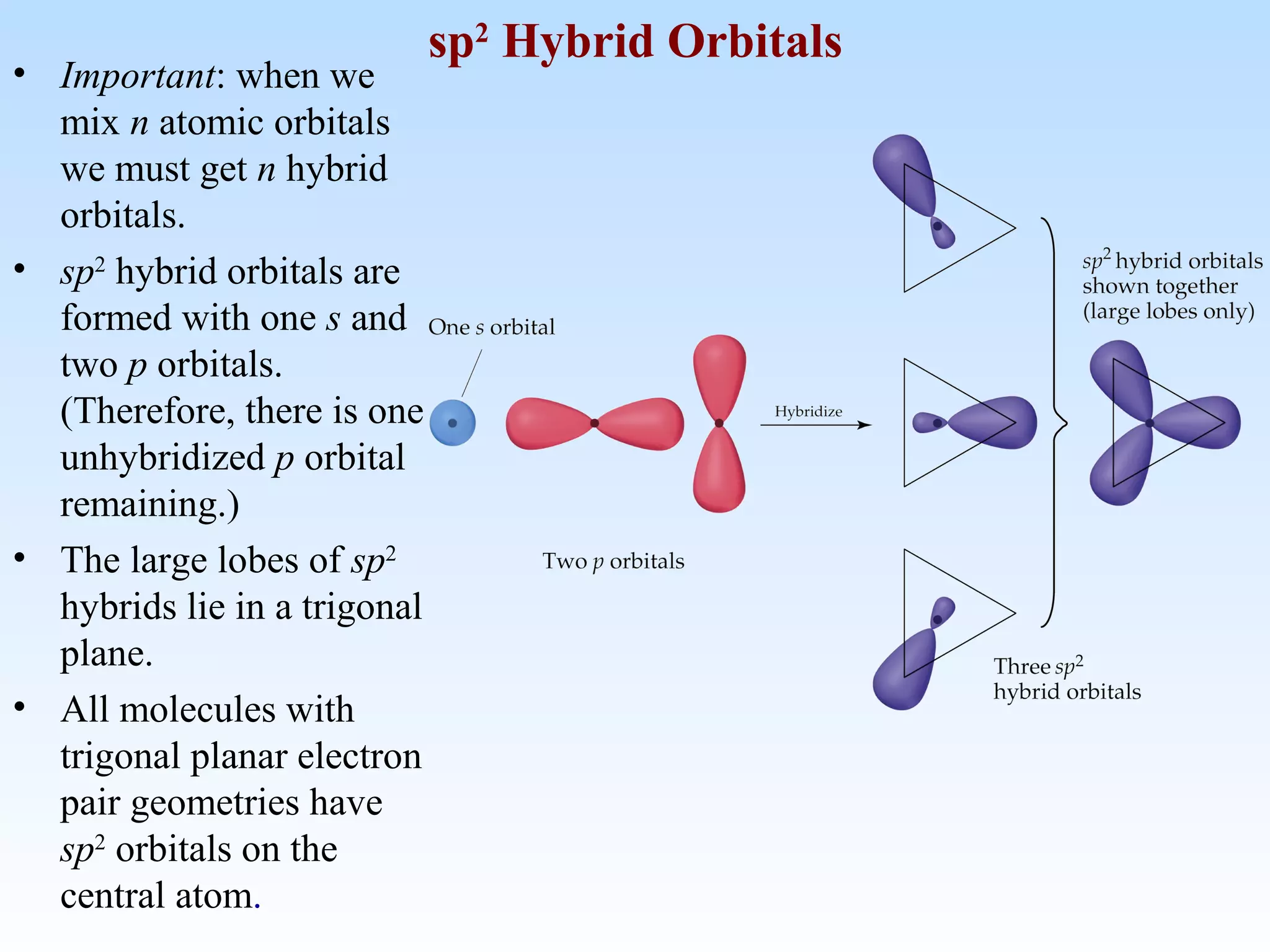 • Important: when we
mix n atomic orbitals
we must get n hybrid
orbitals.
• sp2
hybrid orbitals are
formed with one s and
two p orbitals.
(Therefore, there is one
unhybridized p orbital
remaining.)
• The large lobes of sp2
hybrids lie in a trigonal
plane.
• All molecules with
trigonal planar electron
pair geometries have
sp2
orbitals on the
central atom.
sp2
Hybrid Orbitals
 