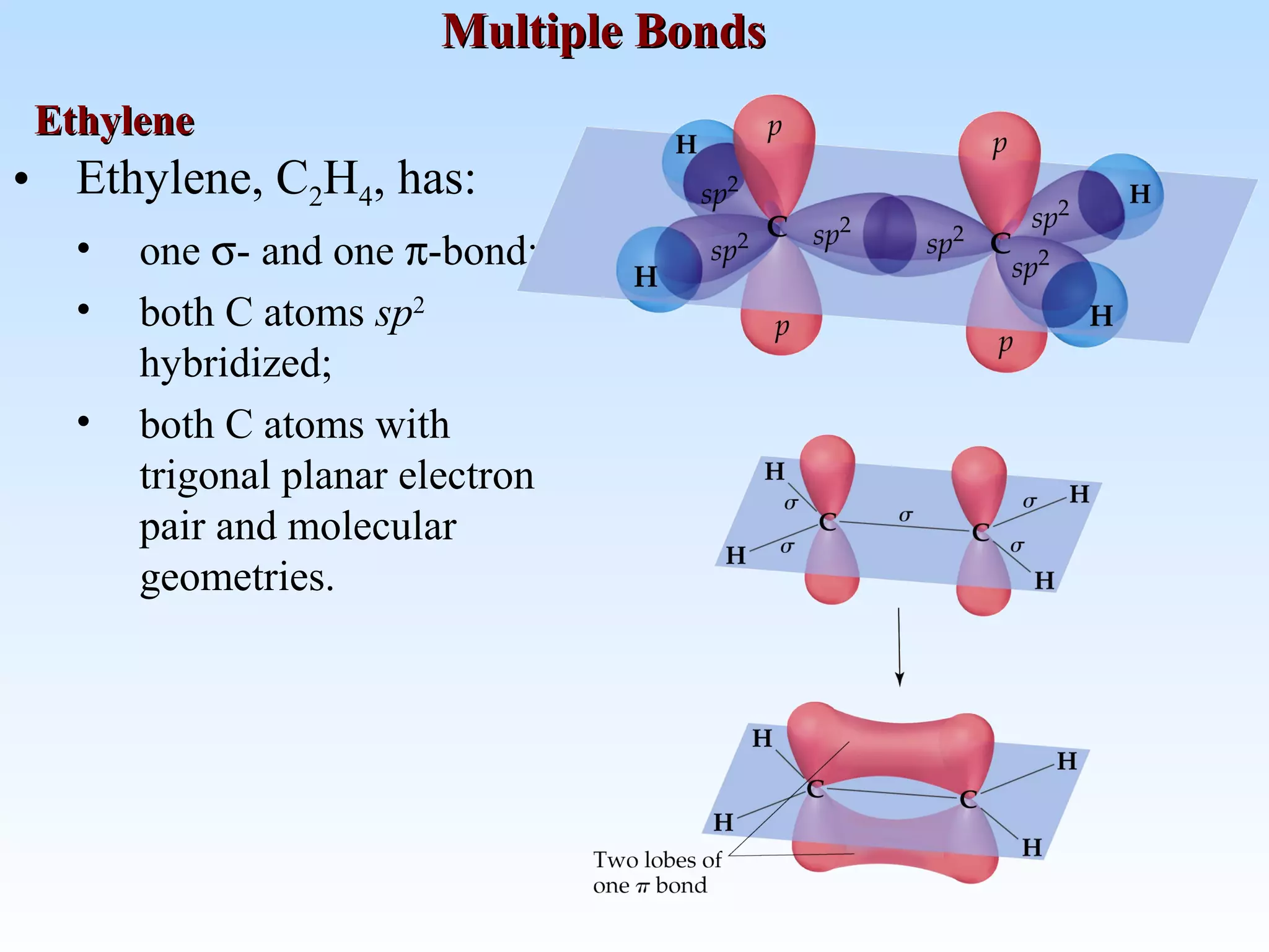 • Ethylene, C2H4, has:
• one σ- and one π-bond;
• both C atoms sp2
hybridized;
• both C atoms with
trigonal planar electron
pair and molecular
geometries.
Multiple BondsMultiple Bonds
EthyleneEthylene
 