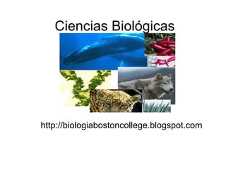 Ciencias Biológicas http://biologiabostoncollege.blogspot.com 