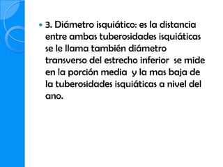    3. Diámetro isquiático: es la distancia
    entre ambas tuberosidades isquiáticas
    se le llama también diámetro
    transverso del estrecho inferior se mide
    en la porción media y la mas baja de
    la tuberosidades isquiáticas a nivel del
    ano.
 