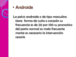 • Androide

La pelvis androide o de tipo masculino
 tiene forma de cuña o corazón su
 frecuencia es de 20 por 100 su pronostico
 del parto normal es malo frecuente
 mente es necesario la intervención
 cesaría
 