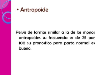 • Antropoide


Pelvis de formas similar a la de los monos
 antropoides su frecuencia es de 25 por
 100 su pronostico para parto normal es
 bueno.
 