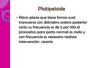 Platipeloide
   Pelvis plana que tiene forma oval
    transversa con diámetro antero posterior
    corto su frecuencia es de 5 por 100 el
    pronostico para parto normal es malo y
    con frecuencia es necesario realizar
    intervención cesaría
 