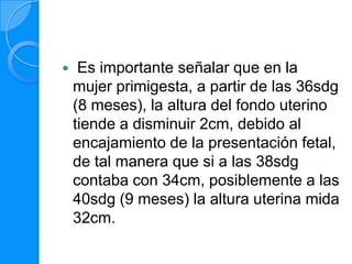     Es importante señalar que en la
    mujer primigesta, a partir de las 36sdg
    (8 meses), la altura del fondo uterino
    tiende a disminuir 2cm, debido al
    encajamiento de la presentación fetal,
    de tal manera que si a las 38sdg
    contaba con 34cm, posiblemente a las
    40sdg (9 meses) la altura uterina mida
    32cm.
 