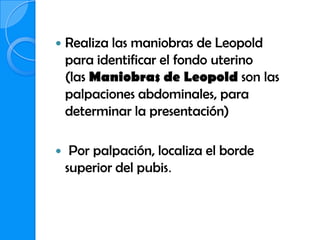    Realiza las maniobras de Leopold
    para identificar el fondo uterino
    (las Maniobras de Leopold son las
    palpaciones abdominales, para
    determinar la presentación)

    Por palpación, localiza el borde
    superior del pubis.
 