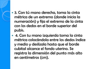  3. Con tú mano derecha, toma la cinta
  métrica de un extremo (donde inicia la
  numeración) y fija el extremo de la cinta
  con los dedos en el borde superior del
  pubis.
 4. Con tu mano izquierda toma la cinta
  métrica colocándola entre los dedos índice
  y medio y deslízala hasta que el borde
  cubital alcance el fondo uterino. Se
  registra la dimensión del punto más alto
  en centímetros (cm).
 