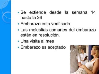  Se extiende desde la semana 14
  hasta la 26
 Embarazo esta verificado
 Las molestias comunes del embarazo
  están en resolución.
 Una visita al mes
 Embarazo es aceptado
 