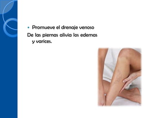  Promueve el drenaje venoso
De las piernas alivia los edemas
  y varices.
 