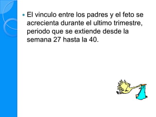    El vinculo entre los padres y el feto se
    acrecienta durante el ultimo trimestre,
    periodo que se extiende desde la
    semana 27 hasta la 40.
 