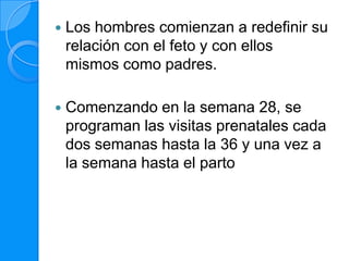    Los hombres comienzan a redefinir su
    relación con el feto y con ellos
    mismos como padres.

   Comenzando en la semana 28, se
    programan las visitas prenatales cada
    dos semanas hasta la 36 y una vez a
    la semana hasta el parto
 