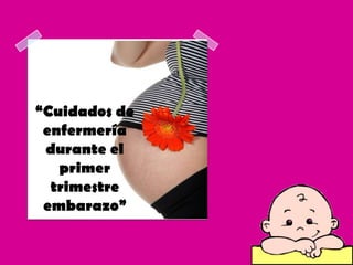 “Cuidados de
 enfermería
 durante el
   primer
  trimestre
 embarazo”


               Equipo 2
 