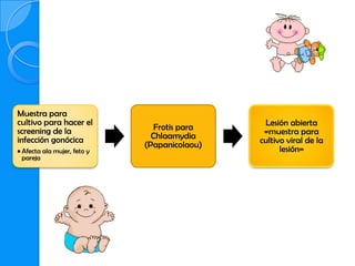Muestra para
cultivo para hacer el                          Lesión abierta
screening de la                 Frotis para    «muestra para
infección gonócica             Chlaamydia     cultivo viral de la
                             (Papanicolaou)         lesión»
• Afecta ala mujer, feto y
  pareja
 